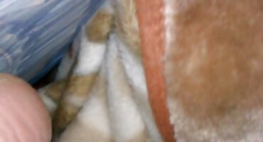 Cô lẻn vào jock và ngạc nhiên bởi con cặc xxx nhieu nuoc đen