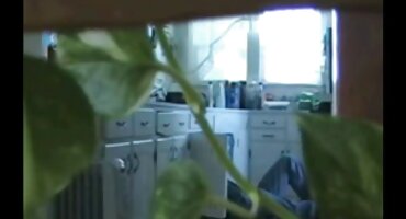 Cô gái với kính tại nhà làm đầu phim pirates xxx tiên hậu môn fisting