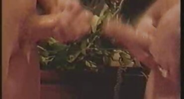 Cô gái hoàn hảo phim xxxn cưỡi một con gà trống hói lớn